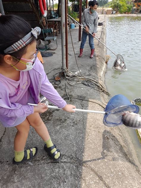 好想釣魚|(高雄休閒池)橋頭農湖休閒釣魚池，有烏鰡休閒池喔!│好想釣魚。